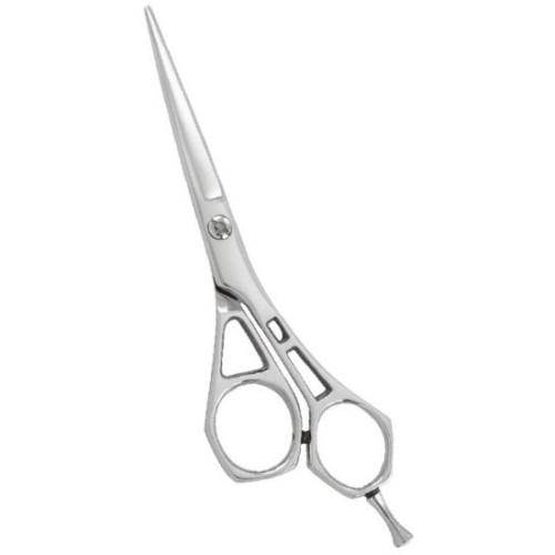 Professional Hair Cutting Scissors